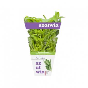 szałwia