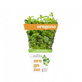 oregano