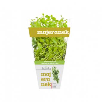 majeranek