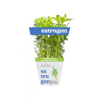 estragon